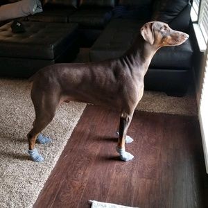 Meet your Posher, Destiny